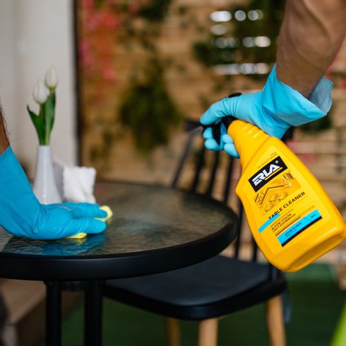 K2 Erla Table Cleaner- płyn do czyszczenia blatów, stołów i płyt kuchennych na Arena.pl