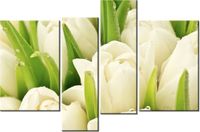 130CM 85 OBRAZ 4 ELEM DELIKATNE TULIPANY ŚCIENNY
