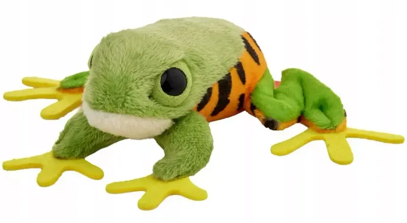 Żaba chwytnica moreleta 10cm zdjęcie 1