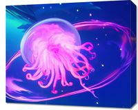 Obraz 60x50cm Neonowa Meduza