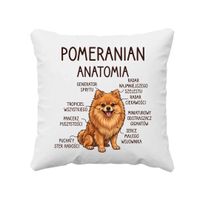 Pomeranian - anatomia - poduszka na prezent z pieskiem