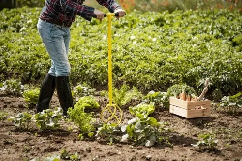 XXL KULTYWATOR SPULCHNIACZ GLEBY RĘCZNY ADLER na Arena.pl