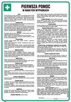 Instrukcja Pierwsza Pomoc W Nagłych Wypadkach Signproject Dd001_245X350_Hn Bhp Robocze