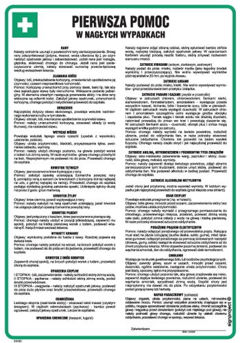 Instrukcja Pierwsza Pomoc W Nagłych Wypadkach Signproject Dd001_245X350_Hn Bhp Robocze na Arena.pl