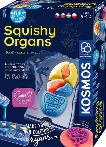 Zestaw Naukowy Fun Scienc-Squishy Organs na Arena.pl