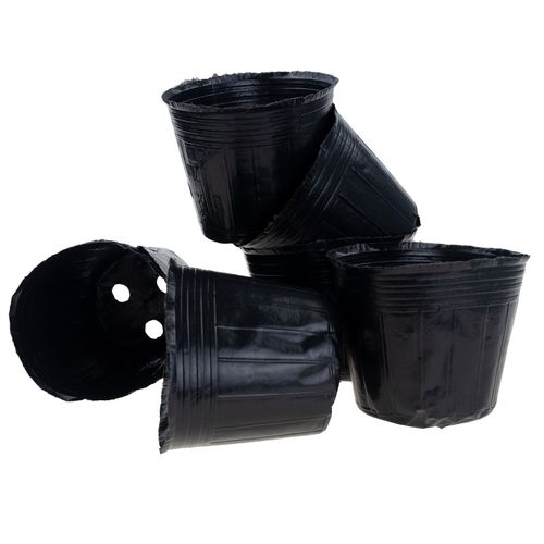 DONICZKI PRODUKCYJNE DO ROZSAD UPRAW WYSIEWU SADZONKI 10SZT/KPL 15X10X na Arena.pl