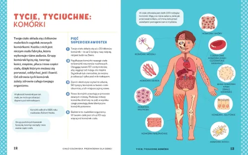 Ciało człowieka. Przewodnik dla dzieci, które chcą poznać swoje ciało na Arena.pl