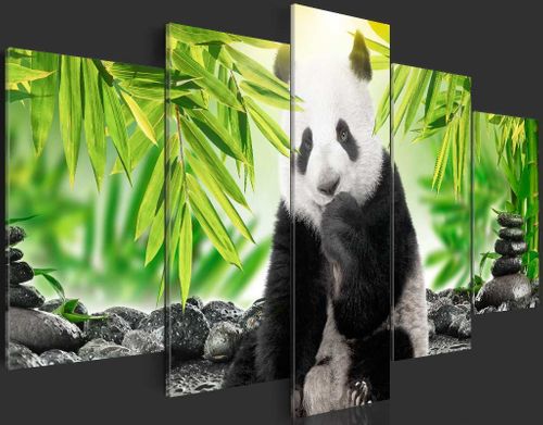 Obraz - Słodka mała panda Rozmiar - 100x50 na Arena.pl