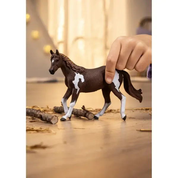 Klacz rasy Paint Horse zdjęcie 2