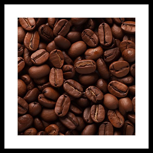 Plakat 40x40cm Esencja Aromatu zdjęcie 3