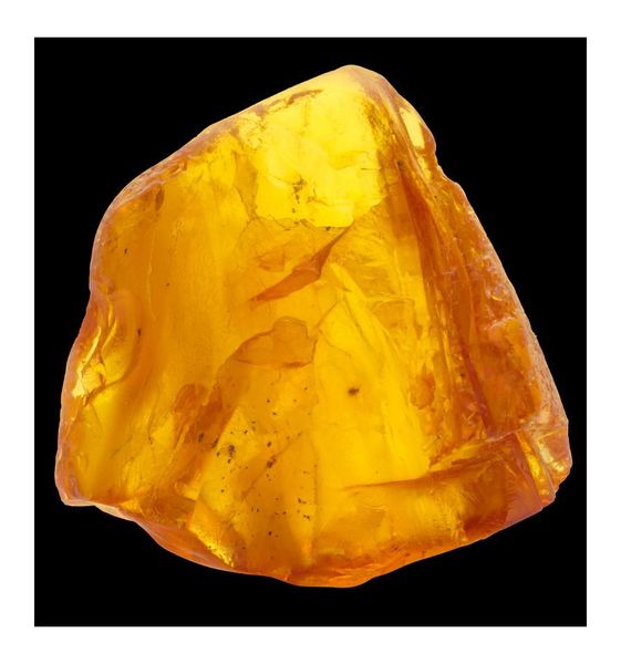 Yodeyma Bella Woda Perfumowana Dla Kobiet 100ml zdjęcie 5