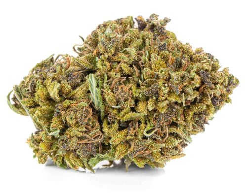 Susz konopny CBD Czarna Pantera SUPER AMSTERDAM 1g na Arena.pl