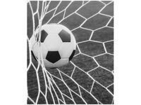 product-compare-58657027