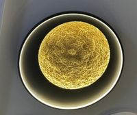 Plafon Berella Light Popi PL60 BL5644 Czarno Złoty