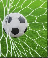 60CM 50CM OBRAZ ŚCIENNY PIŁKA BRAMCE DRUK PŁÓTNO