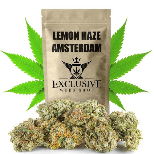 Susz konopny Lemon Haze CBD SUPER AMSTERDAM Exclusive Weed 2g na Arena.pl