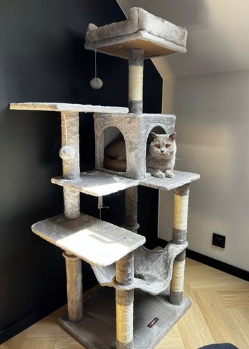 DRAPAK DLA KOTA DUŻY XL 6 POZIOMÓW WYSOKI LEGOWISKO SŁUPEK DOMEK 143cm na Arena.pl