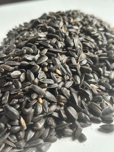 Słonecznik czarny 14 kg karma dla papug ziarno dla ptaków GRTIS kula tluszc na Arena.pl