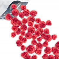 MALINA LIOFILIZOWANA 100g MALINY KLASA A nutt