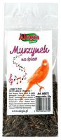 Alegia Murzynek 55G