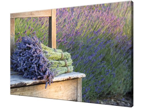 Obraz drukowany na płótnie canvas 120x80 + GRATIS na Arena.pl