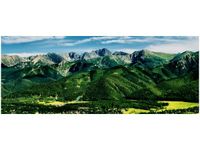 100X40CM DOLINA TATRACH OBRAZ DREWNO