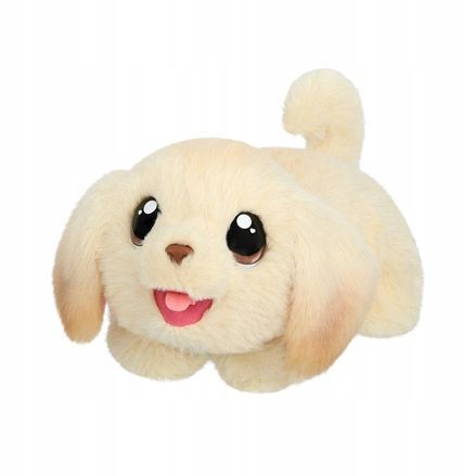 Piesek Z Domkiem / COBI SA na Arena.pl