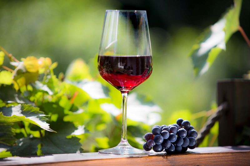 KIELISZKI DO WINA CZERWONEGO KOMPLET 6 SZT 450ML zdjęcie 10