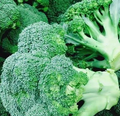 BROKUŁ NASIONA brokuła CALABRESE NATALINO PLENNY ŹRÓDŁO WITAMIN ŁATWA na Arena.pl