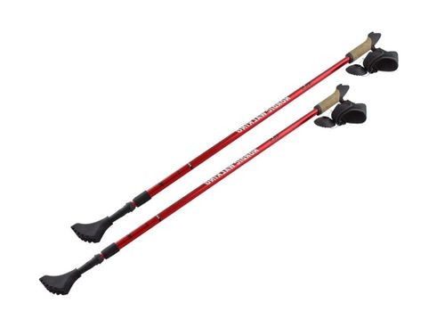 Kij Nordic Walking Nils NW607 na Arena.pl