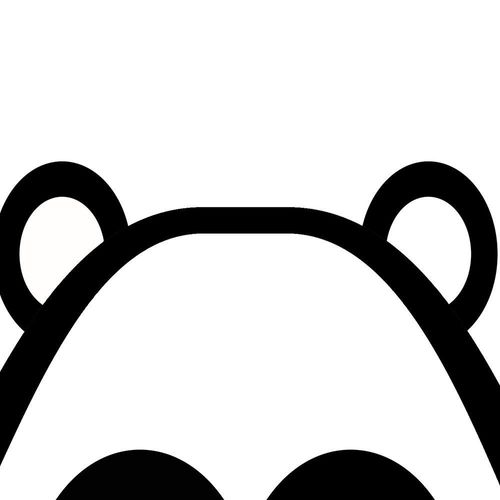 Deco Panel, Kontrastowa panda 80x120 na Arena.pl