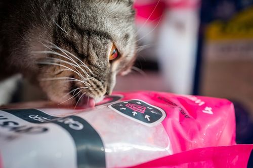 Żwirek sylikonowy silikonowy dla kota 3,8 l x 4 na Arena.pl