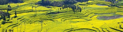 YOPE Żel pod prysznic Yunnan REFILL 800 ml na Arena.pl