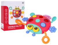 Wielofunkcyjna Biedronka Dla Najmłodszych