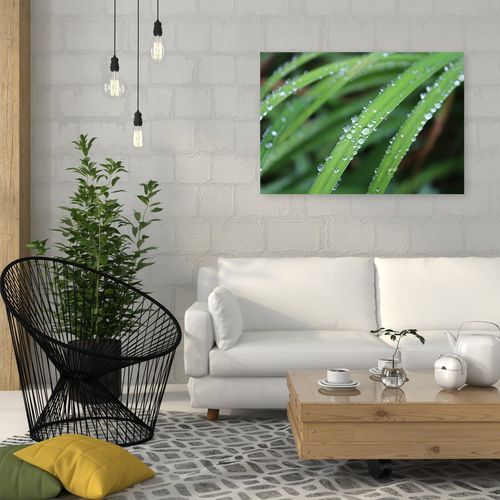 Deco Panel, Krople na liściach 90x60 na Arena.pl