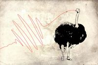 Fototapeta Mural Zwierzęta Ptak Struś tynk 395x280