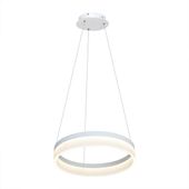 LAMPA WISZĄCA RING 24W LED