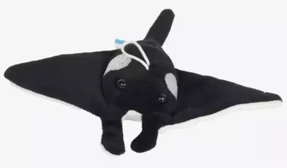 Manta 14cm zdjęcie 1