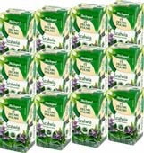 (x12) Herbapol Herbata Zielnik Szałwia