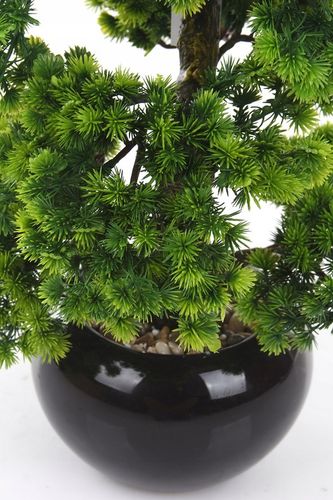 sztuczne drzewko BONSAI LARCH 48x35 modrzew w ceramicznej czarnej doniczce na Arena.pl
