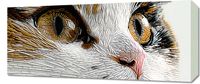 Obraz 70x30cm Nitkowany Kot