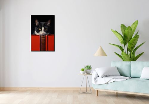 Plakat 53x81cm Koci Uczeń na Arena.pl
