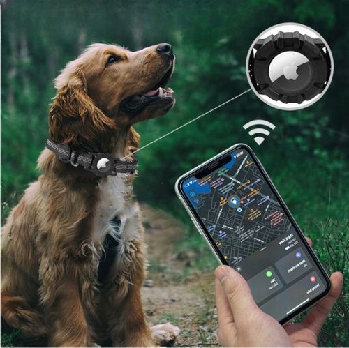 Obroża Uchwyt na Apple Airtag Dla Psa Kota Psów - S GRAY na Arena.pl