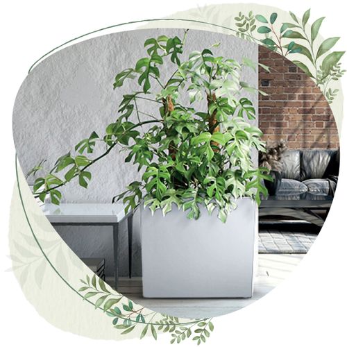 Doniczka wysoka Urbi Case T DUC600T z wkładem | Biały na Arena.pl