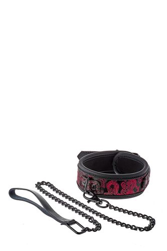 Blaze Deluxe Collar & Leash na Arena.pl