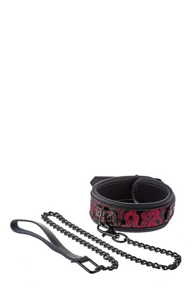 Blaze Deluxe Collar & Leash zdjęcie 3