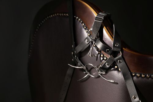 Head Harness With Spider Gag And Nose Hooks - Black na Arena.pl