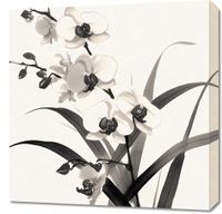 product-compare-59508948