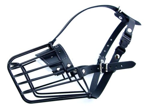 Champion Kaganiec metalowy fizjologiczny FIZ-2 (28/12) na Arena.pl