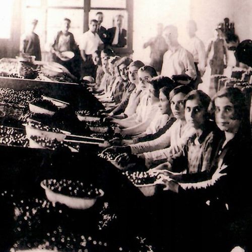 OLIWA Z OLIWEK 1L EXTRA VIRGIN ORGANICZNA NIEFILTROWANA BIO BUTELKA GRATIS na Arena.pl